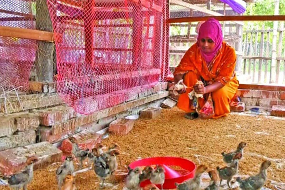 চাকরি ছেড়ে সফল উদ্যোক্তা