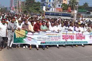 ভালুকায় বিএনপির আনন্দ মিছিল