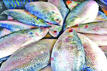 নিষেধাজ্ঞার ২২ দিনে দণ্ড ৮৯৩ জেলের