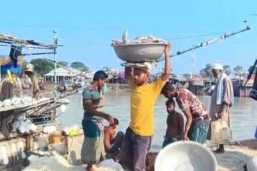 ইলিশ নিয়ে তীরে ফিরছেন জেলেরা
