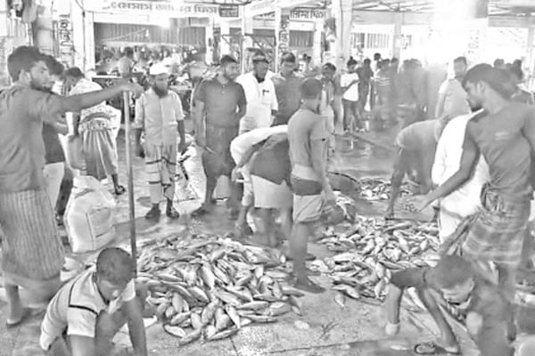 হাঁকডাকে আবার মুখর আলীপুর মহিপুর