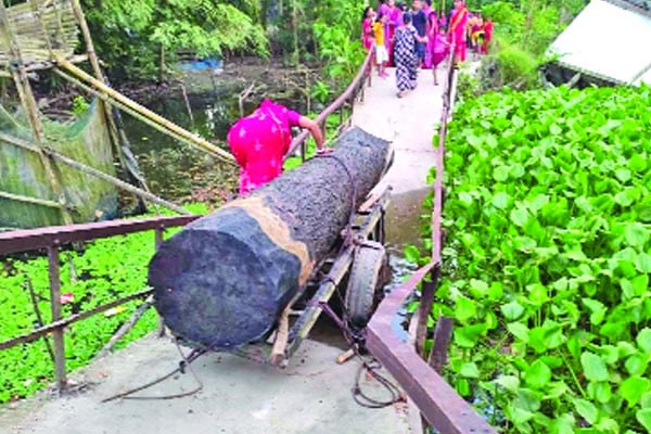 ঠেলাগাড়ির ভারে ব্রিজ ভেঙে পড়ল খালে