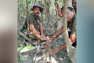 শিকারির পাতা ফাঁদে আটকে পড়া চিত্রা হরিণ উদ্ধার