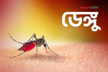 ডেঙ্গুতে আরও ৬ জনের মৃত্যু, হাসপাতালে ভর্তি ৯৮৩