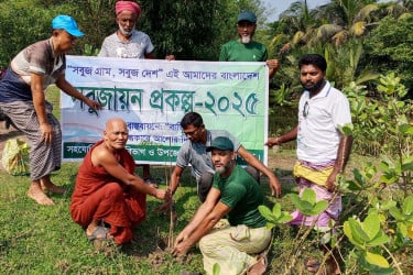 কলাপাড়ায় বৃক্ষরোপণ কর্মসূচি