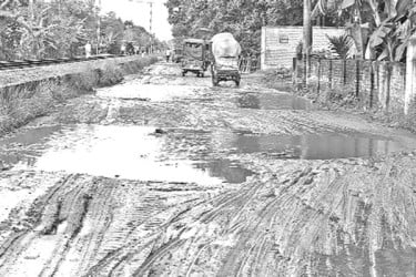 সড়কের বেহাল দশা