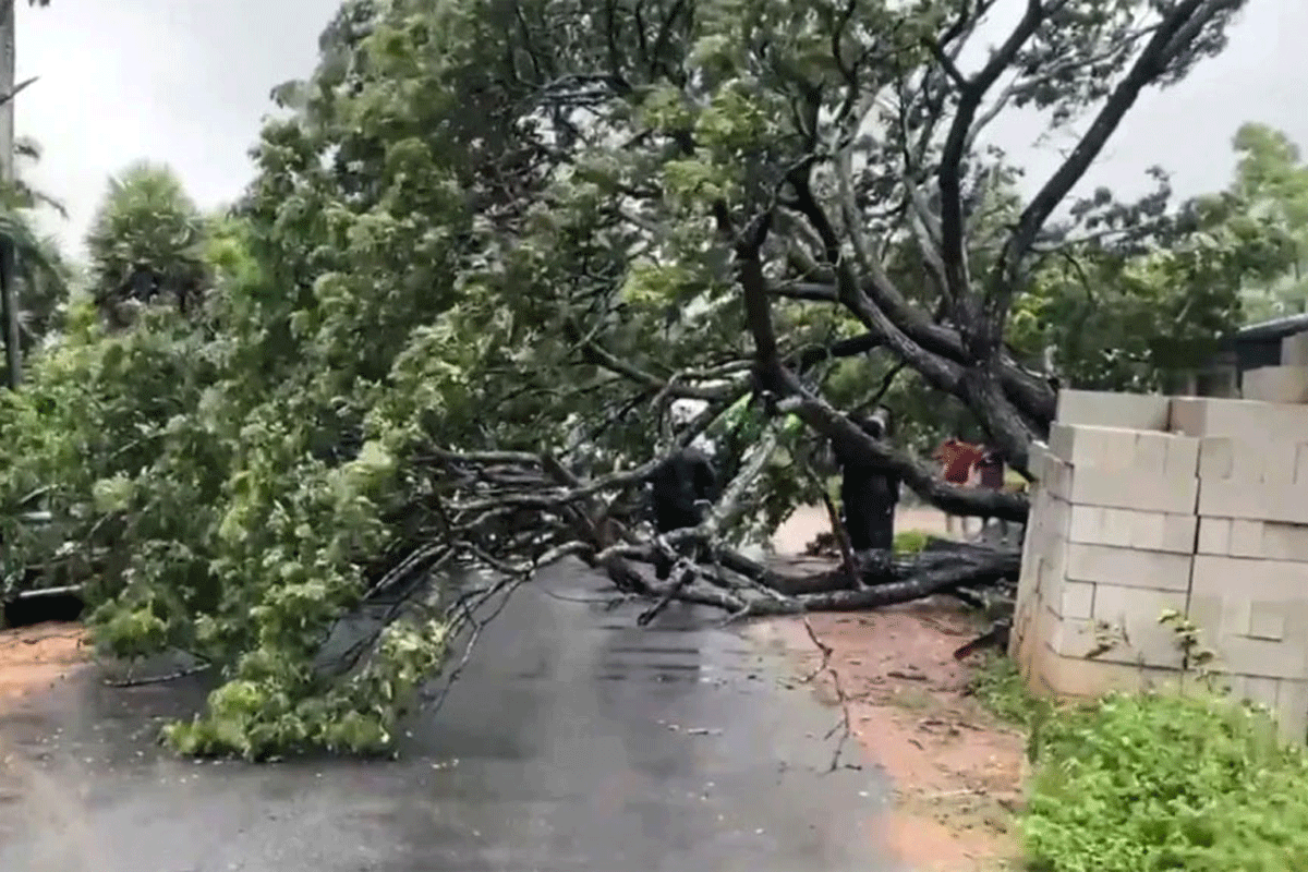 ভারতে ঘূর্ণিঝড় মোন্থার আঘাতে নারীর মৃত্যু