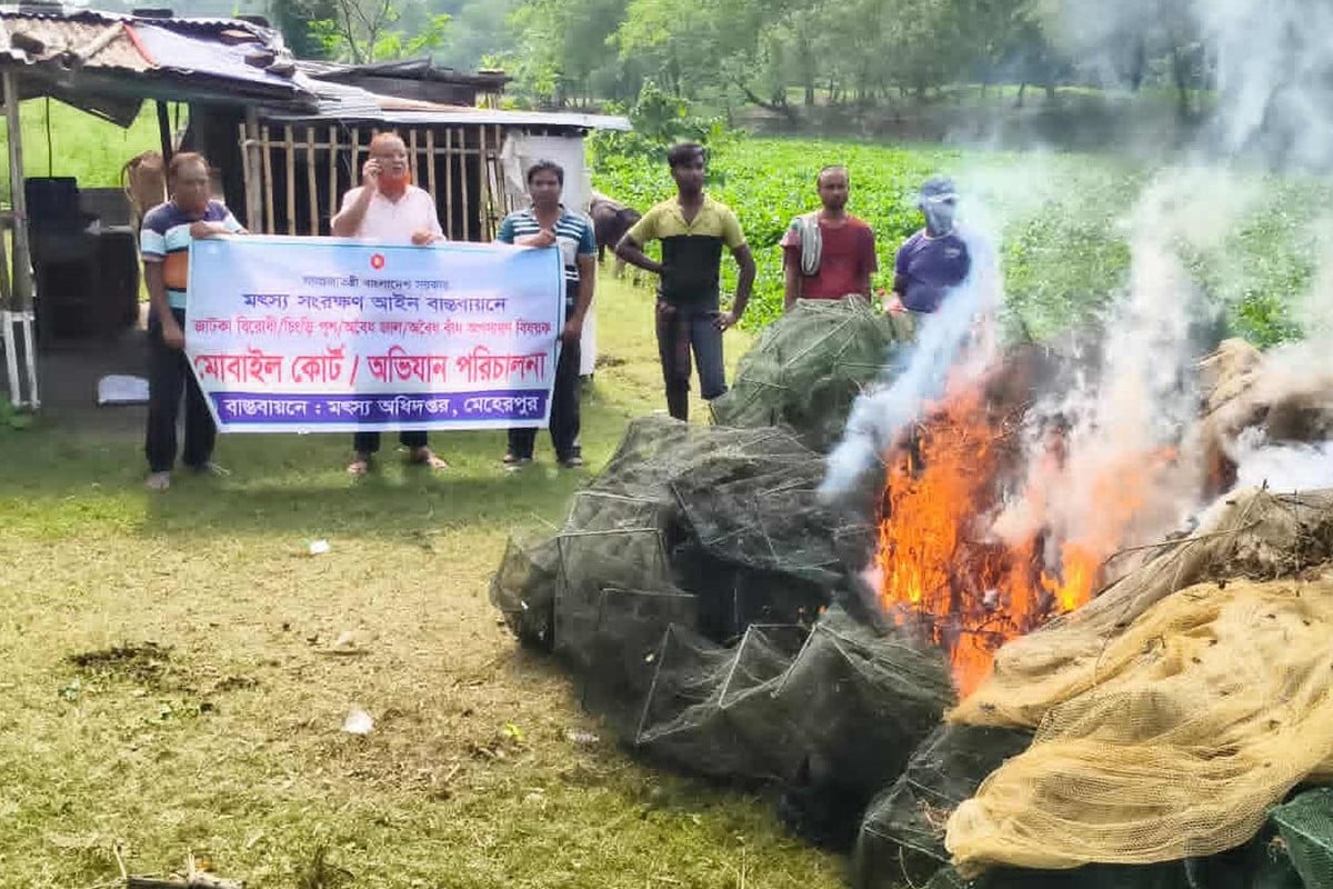 মেহেরপুরে ২২০০ মিটার চায়না দুয়ারি জাল উদ্ধার, পুড়িয়ে ধ্বংস