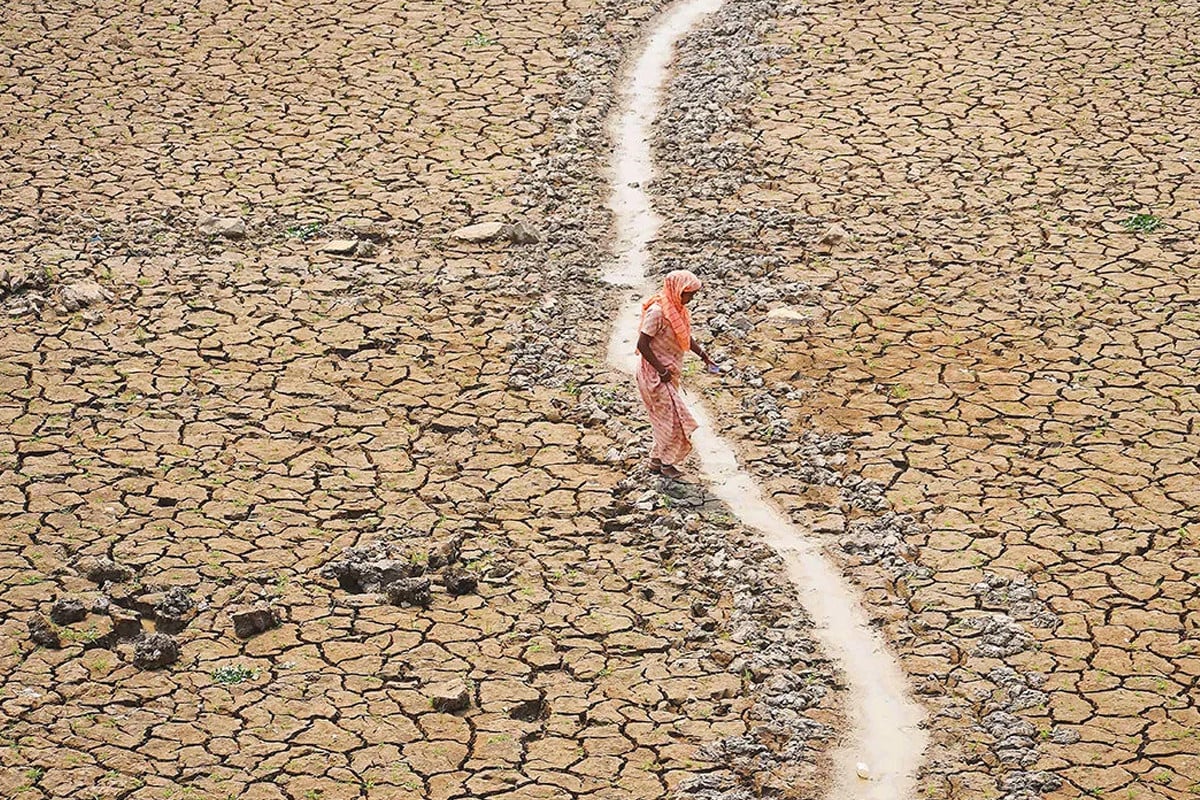 ‘জলবায়ু পরিবর্তনের ফলে ভারতীয়রা বছরে গড়ে প্রায় ২০ দিন তাপপ্রবাহের শিকার’
