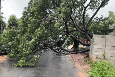 ভারতে ঘূর্ণিঝড় মোন্থার আঘাতে নারীর মৃত্যু