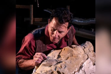 মাটির আবরণে সংরক্ষিত ছিল ডাইনোসরের দেহ