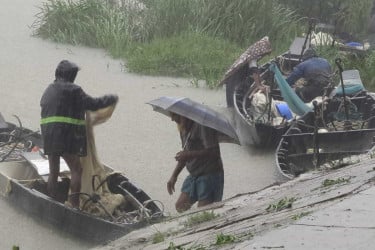 হালদায় ভেসে উঠল ২০ কেজি ওজনের কাতলা