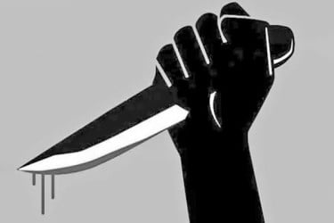 নাতজামাইয়ের ছুরিকাঘাতে বৃদ্ধ খুন