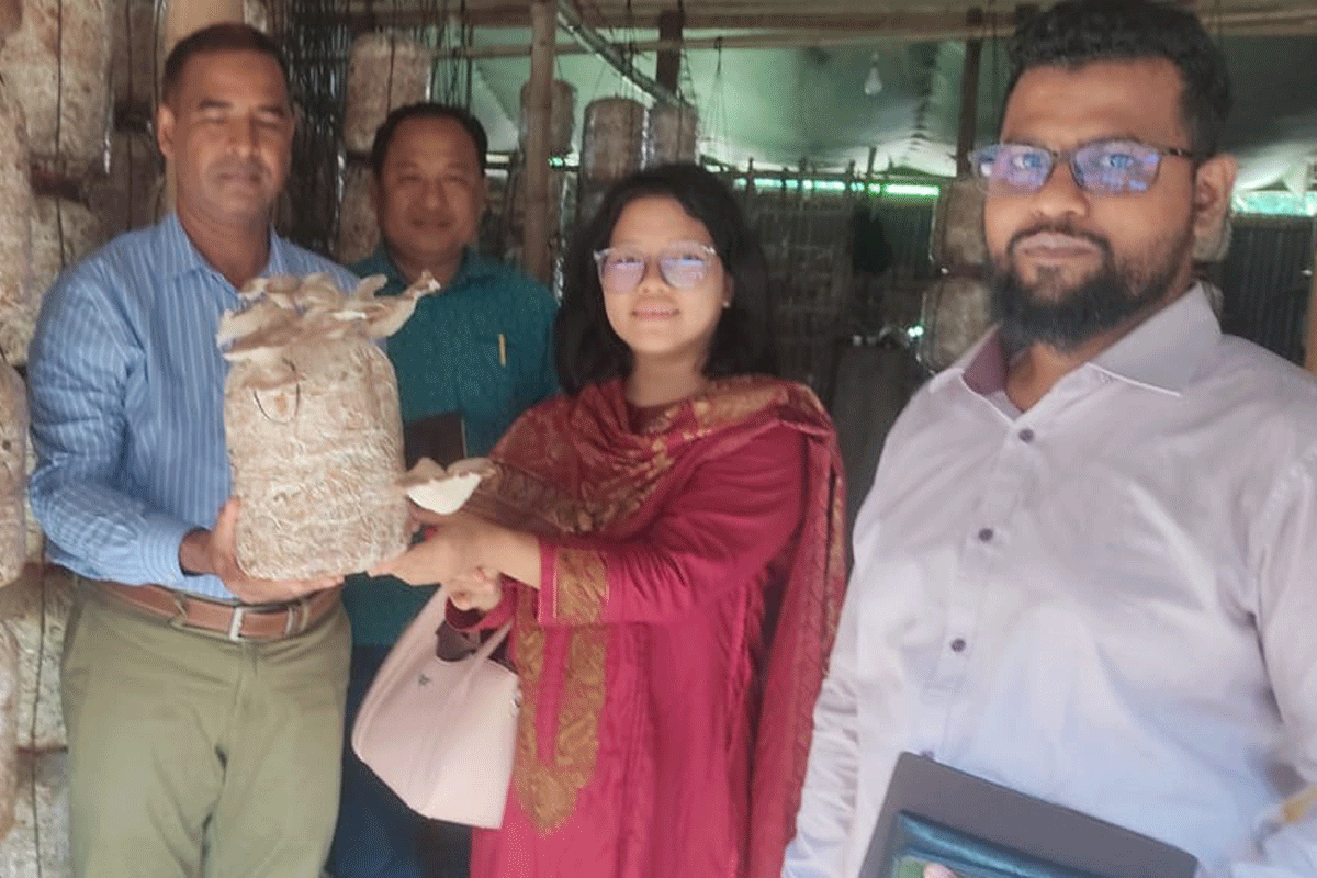 খাগড়াছড়ির নারী উদ্যোক্তার মাশরুম চাষ পরিদর্শন করলেন কৃষি কর্মকর্তারা