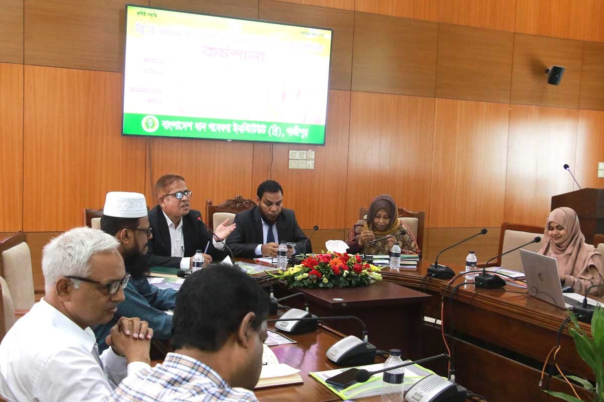 ‘ব্রির অর্জন ও অগ্রগতি: তারুণ্যের অংশগ্রহণ’ শীর্ষক কর্মশালা অনুষ্ঠিত