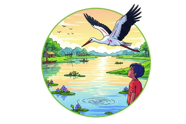 হারিয়ে যাওয়া বক