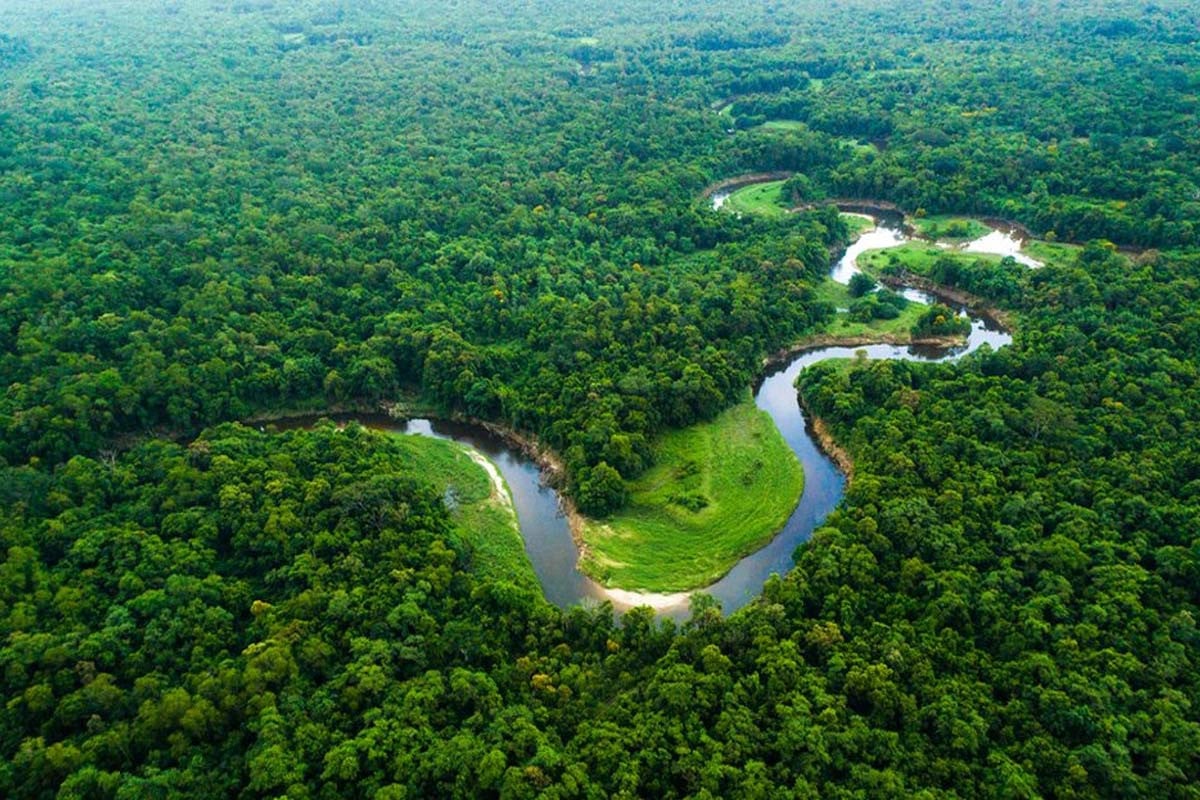 ‘কপ৩০’ সম্মেলনের আগে স্বস্তির খবর, অ্যামাজনে কমেছে বন উজাড়