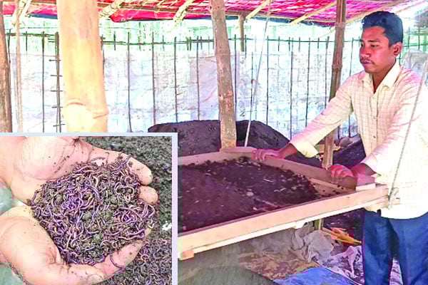 কেঁচো সারের খামার গড়ে স্বাবলম্বী