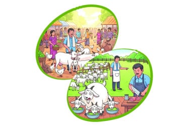 লোভী ছাগলের পরিণতি