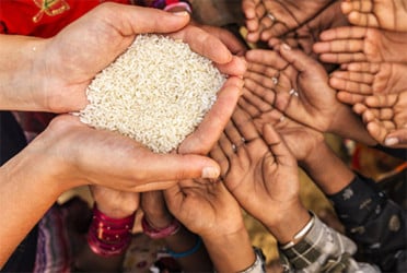 ডিসেম্বরের মধ্যে খাদ্যসংকটের ঝুঁকিতে দেড় কোটি মানুষ