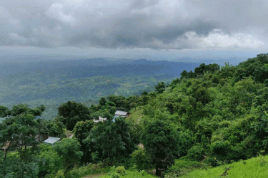 বান্দরবানে ভাল্লুকের আক্রমণে জুমচাষি আহত