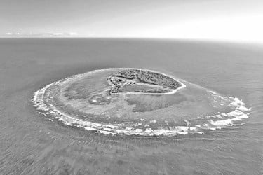 সমুদ্রে লুকিয়ে থাকা সর্ববৃহৎ ‘জীবন্ত স্থাপত্য’!