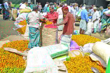 দিনে বিক্রি কোটি টাকার সুপারি