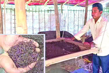 কেঁচো সারের খামার গড়ে স্বাবলম্বী