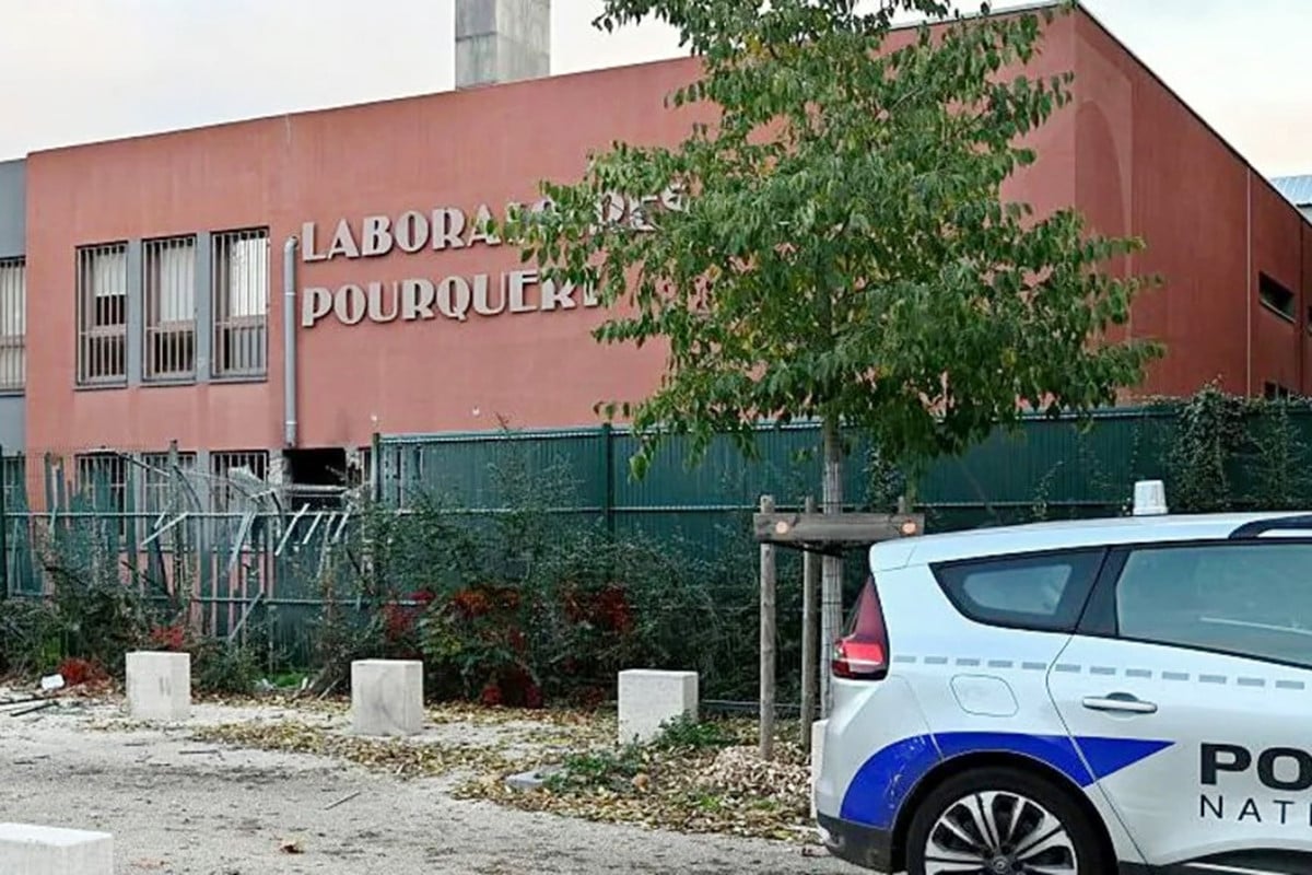 ল্যুভরের পর এবার ফ্রান্সে সোনার কারখানায় দুঃসাহসিক চুরি