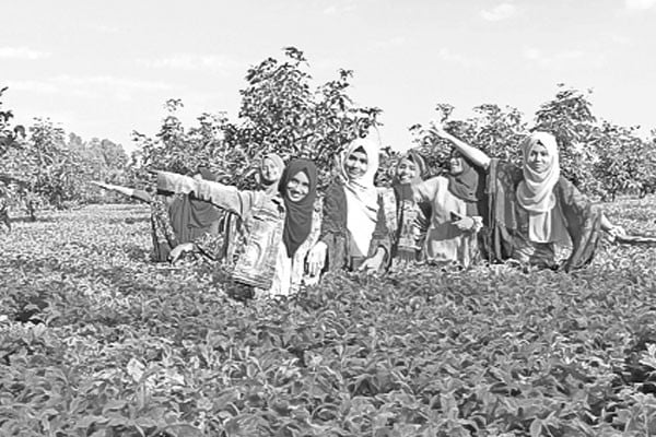 পঞ্চগড়ে ভ্রমণপিপাসুদের উপচে পড়া ভিড়