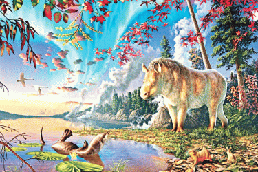 আড়াই কোটি বছর আগে কানাডায় ঘুরে বেড়াত গণ্ডার