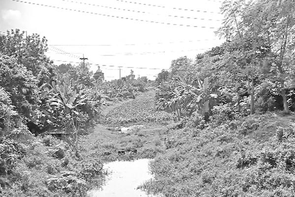 মিলছে না খননের সুফল