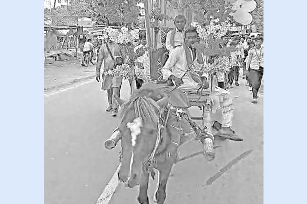 রাজকীয় বিদায় শিক্ষকের