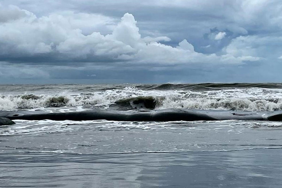বঙ্গোপসাগরে নতুন লঘুচাপ, বাড়তে পারে বৃষ্টির প্রবণতা