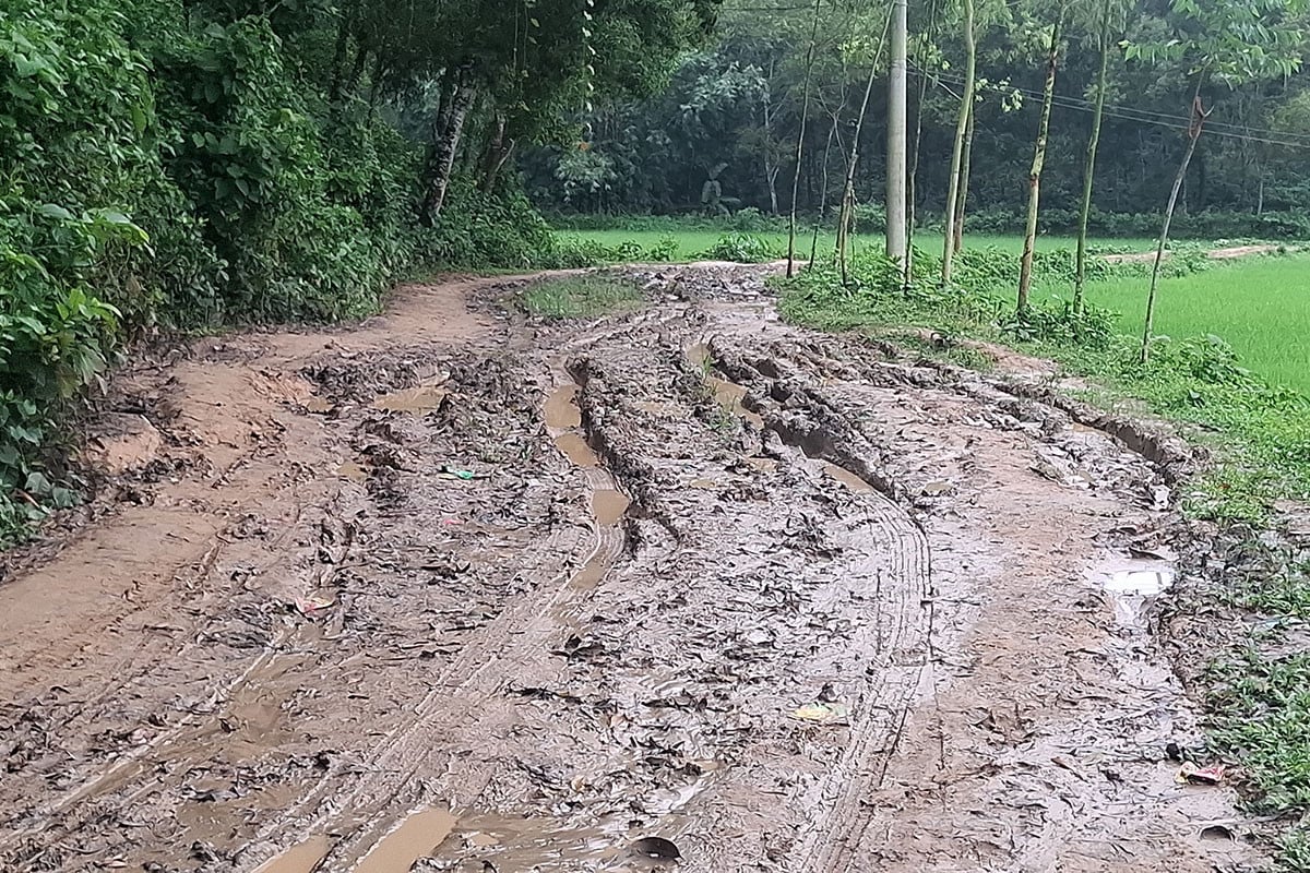 টাঙ্গাইলে গ্রামীণ রাস্তায় জনদুর্ভোগ, স্বাধীনতার ৫৩ বছরেও পাকাকরণ হয়নি