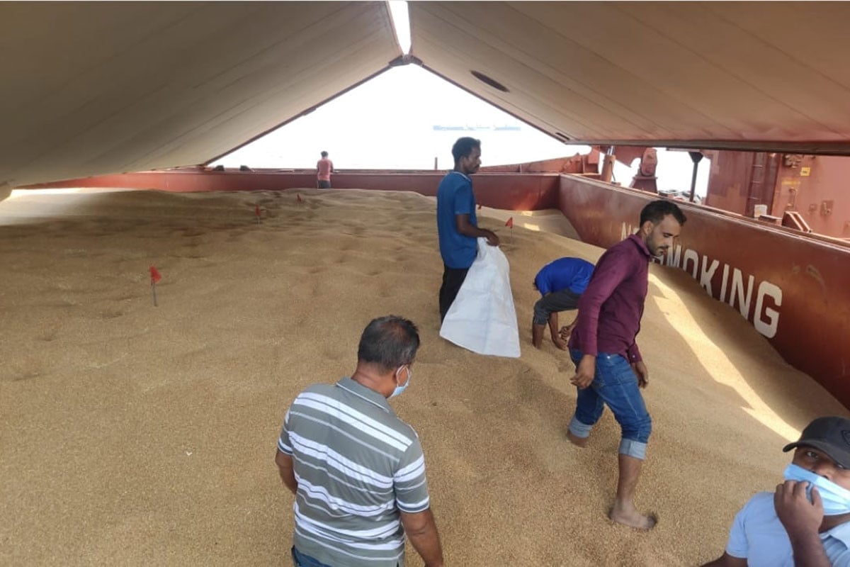 আমেরিকা থেকে এলো গমবোঝাই জাহাজ