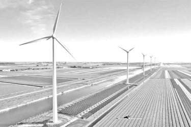 নবায়নযোগ্য শক্তির জোয়ারের চাপে নেদারল্যান্ডসের বিদ্যুৎ গ্রিড