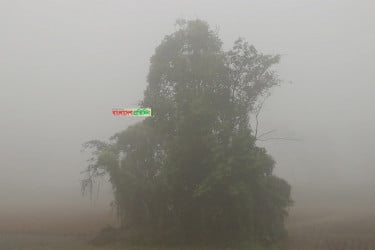 শীতে কাবু হবে দেশবাসী, আসতে পারে ১০ শৈত্যপ্রবাহ