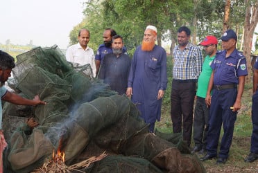 সিংড়ায় নিষিদ্ধ চায়না জাল পুড়িয়ে দিল প্রশাসন