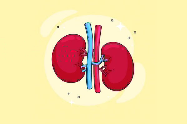 অঙ্গ দিতে পারবেন ইমোশনাল ডোনার