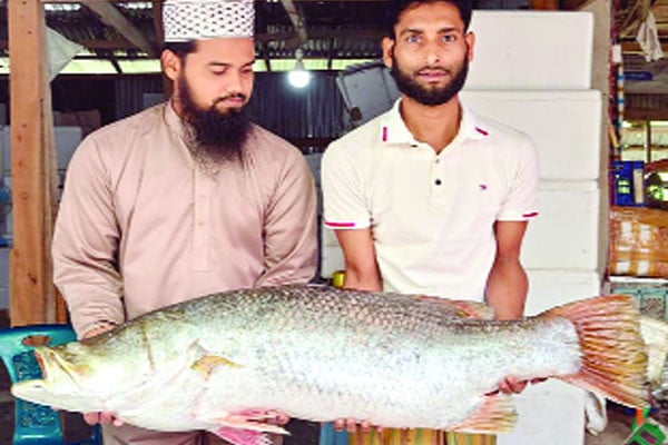 জালে ১৯ কেজির কোরাল