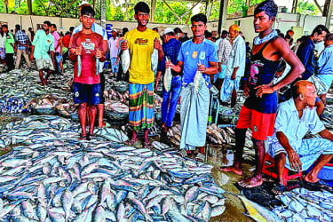ঘাটে ফিরছে ইলিশভর্তি ট্রলার