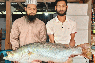 ইলিশের জালে ধরা পড়ল ১৯ কেজির কোরাল মাছ