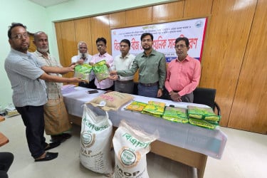 নবীনগরে কৃষকদের মাঝে বিনামূল্যে বীজ ও সার বিতরণ