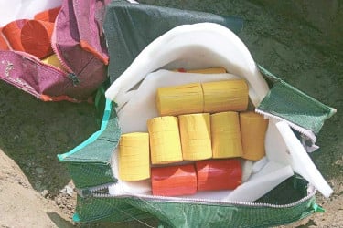 বগুড়ায় উদ্ধার হওয়া ৩৯ ককটেল নিষ্ক্রিয় করল সেনাবাহিনী