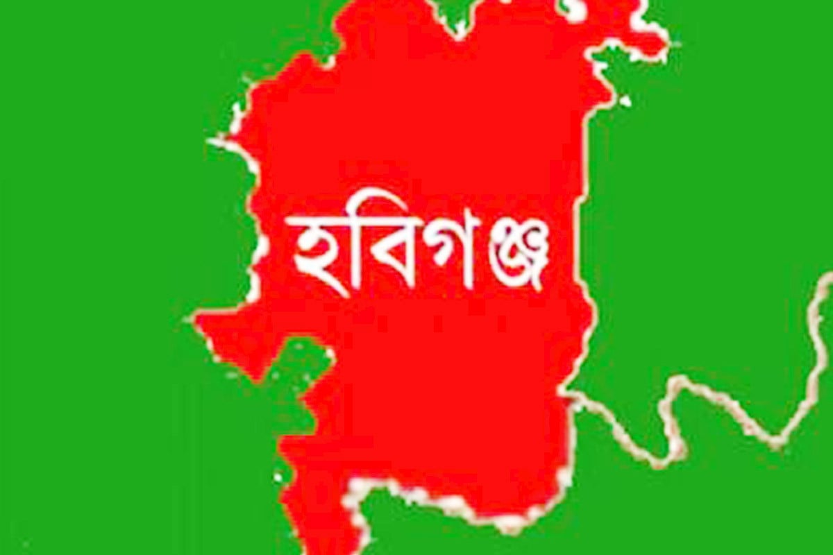 হবিগঞ্জে হত্যা মামলার ১৬ বছর পর একজনের যাবজ্জীবন