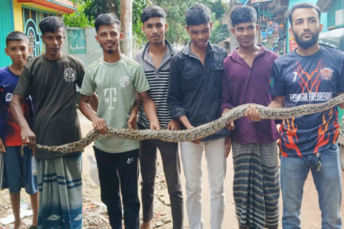 চট্টগ্রামে জালে আটকা পড়লো ৮ ফুট লম্বা অজগর