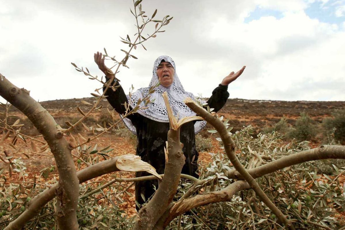 পশ্চিম তীরে এক মাসেই ২৩৫০টি ইসরায়েলি হামলা: রিপোর্ট