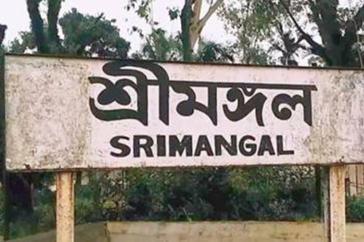 শ্রীমঙ্গলে শিয়ালের কামড়ে আহত ১৬