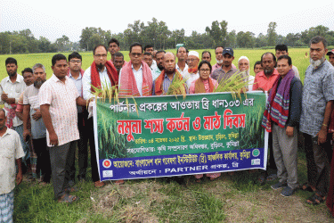 নতুন জাতের ধানে খুশি কৃষক